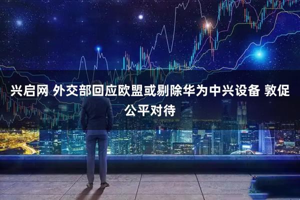 兴启网 外交部回应欧盟或剔除华为中兴设备 敦促公平对待