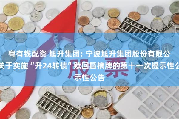 粤有钱配资 旭升集团: 宁波旭升集团股份有限公司关于实施“升24转债”赎回暨摘牌的第十一次提示性公告
