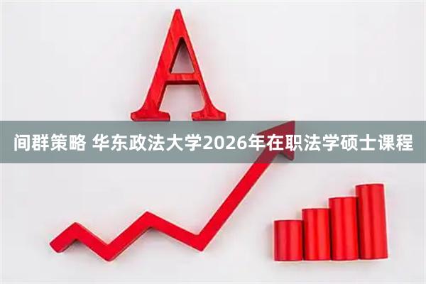 间群策略 华东政法大学2026年在职法学硕士课程