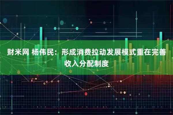 财米网 杨伟民：形成消费拉动发展模式重在完善收入分配制度